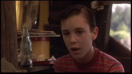 Stand by Me (1986) Special Edition