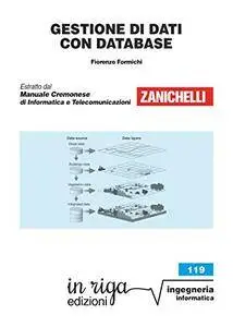Gestione di dati con database: Coedizione Zanichelli - in riga (in riga ingegneria Vol. 119)