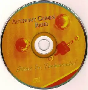 Anthony Gomes Band - Blues In Technicolor (1998)