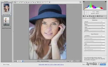 Lynda - Photoshop CC for Photographers: Camera Raw 9 Fundamentals [repost]