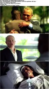 Falcon Rising (2014)
