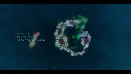 Dive Club S01E04