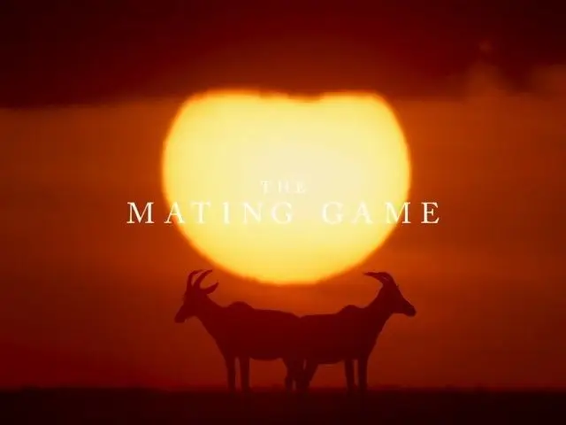 BBC - The Mating Game (2021) / AvaxHome