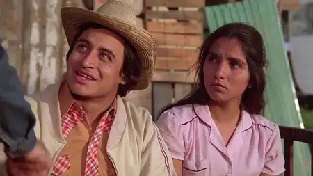 El Norte / The North (1983)
