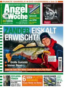 Angel Woche - 2 Januar 2016