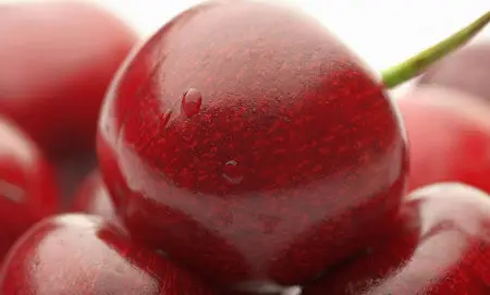 Macro Wallpapers (part 02)