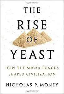 The Rise of Yeast: How the sugar fungus shaped civilisation