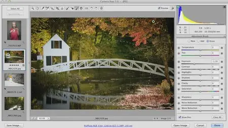 Photoshop CS6: Camera Raw (2013)