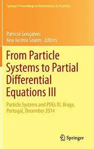 From Particle Systems to Partial Differential Equations III