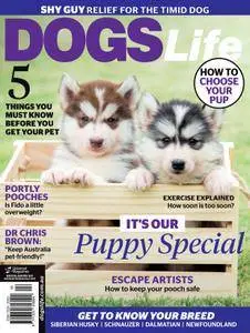 Dogs Life - December 2016