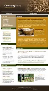 TemplatesBox - Newsletter Template #PN002