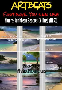 Artbeats Nature: Caribbean Beaches (V-Line) (NTSC)