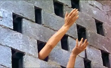Claude Faraldo-Themroc (1972)