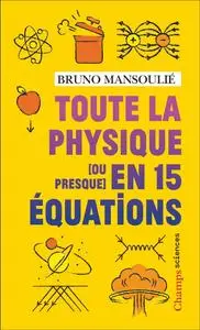 Bruno Mansoulié, "Toute la physique [ou presque] en 15 équations"