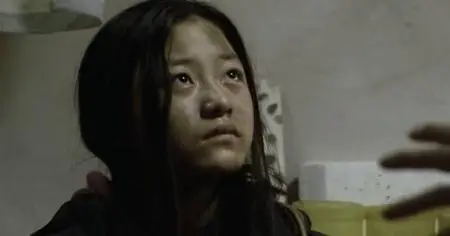 True North (2006)