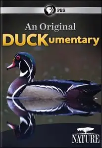 PBS Nature - An Original DUCKumentary (2012)