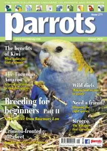 Parrots - August 2020