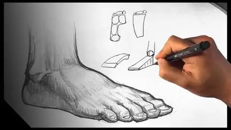 Draw Feet - Drawing For Beginners Legs Part I Figure Anatomy