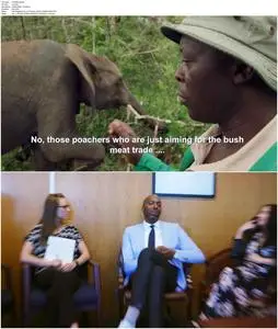 Why on Earth (2022)
