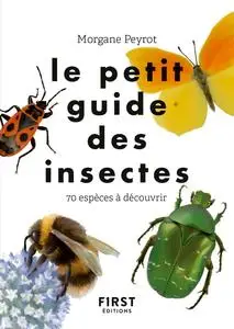 Morgane Peyrot, "Le petit guide des insectes : 70 espèces à découvrir"