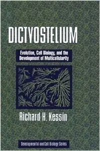 Dictyostelium: Evolution, Cell Biology, and the Development of Multicellularity  by Richard H. Kessin