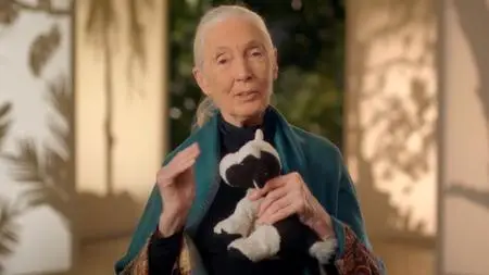 MasterClass - Dr. Jane Goodall Teaches Conservation (2017)