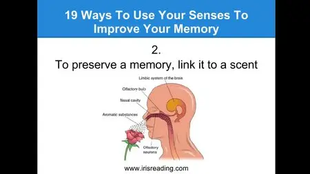 Iris Reading - Memory Improvement Course