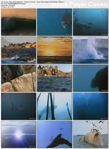 National Geographic's Planet Carnivore: Great White Shark (2007)