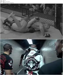 Takedown: The DNA of GSP (2014)