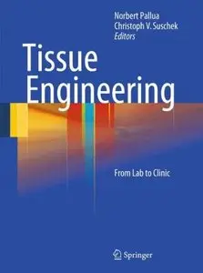 Tissue Engineering: From Lab to Clinic (repost)