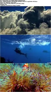 Planet Ocean (2012)