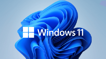 Windows 11 Pro 21H2 Build 22000.556 Non-TPM 2.0 Compliant (x64) En-US Preactivated March 2022