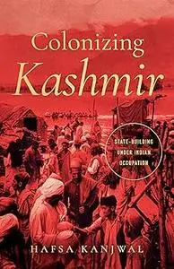 Colonizing Kashmir: State-building under Indian Occupation