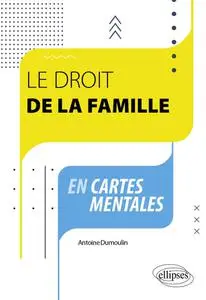 Antoine Dumoulin, "Le droit de la famille en cartes mentales"