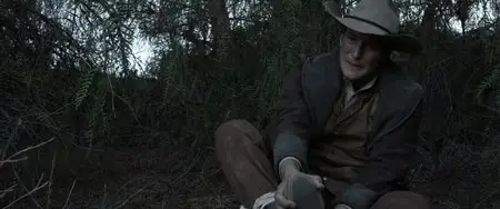 Bone Tomahawk (2015)