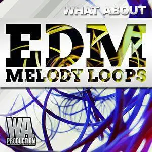 W. A. Production - What About Melody Loops WAV MiDi