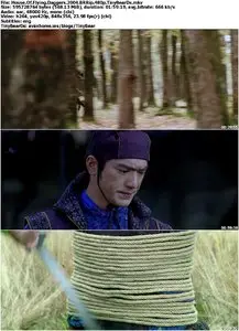 House Of Flying Daggers (2004)