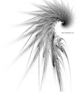 Abstract Brushes vol.11