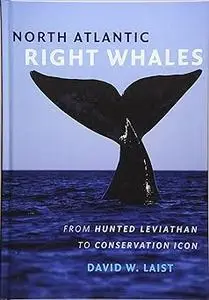 North Atlantic Right Whales: From Hunted Leviathan to Conservation Icon