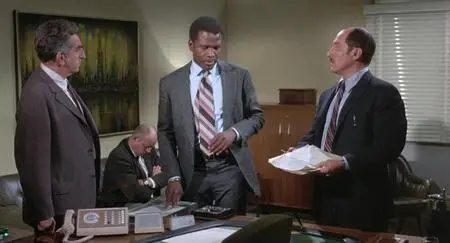 They Call Me Mister Tibbs! (1970)