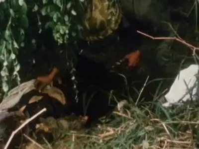 Vietnam - A Television History - Part 7 - Vietnamizing the War (1969-1973)