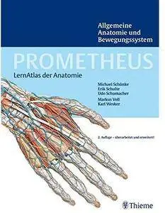 Prometheus LernAtlas der Anatomie: Allgemeine Anatomie und Bewegungssystem (Auflage: 2) [Repost]