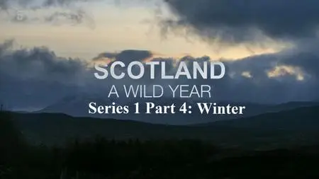 CH.5 - Scotland a Wild Year Series 1 Part 4: Winter (2021)