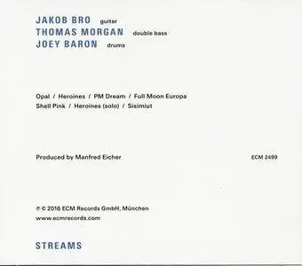 Thomas Morgan & Joey Baron Jakob Bro - Streams (2016)