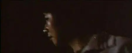 Enter the Fat Dragon (1978)