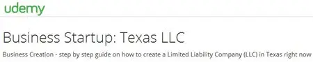 Business Startup: Texas LLC