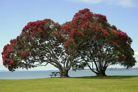 World In Photo 227