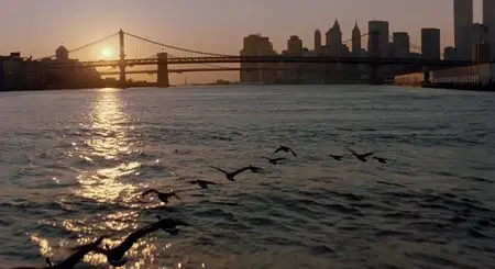 Winged Migration - by Jacques Perrin, Jacques Cluzaud, Michel Debats (2001)