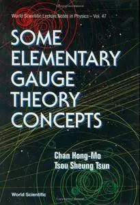 Some Elementary Gauge Theory Concepts (World Scientific Lecture Notes in Physics)(Repost)