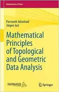Mathematical Principles of Topological and Geometric Data Analysis
